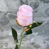 Ornamentos para Quarto de Casamento Flores de Simulação Vermelho Festivo Arranjo de Casamento Avançado Arranjo Floral de Casamento Balde de Abraço Flores Artificiais Floricultura de Simulação