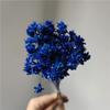 Flor de montanha pequena buquê de flores secas decoração luz luxo high-end diy material real flor air-dried importado espécime material de flor