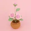 Producto Terminado Hecho a Mano en Amazon Rosa de Cinco Hojas de Dos Cabezas Tejida en Crochet Planta en Maceta Hecha de Hilo Regalo Creativo Decoración de Escritorio