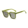 Gafas de sol de moda transfronteriza europea y americana, gafas de sol polarizadas de moda para mujer con montura grande, gafas de sol de placa para vacaciones de ocio al por mayor