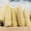 Milho Branco Glutinoso do Nordeste, Milho Branco Glutinoso Fresco e Macio na Espiga, Grudento, Embalado a Vácuo, Pronto para Comer, Delicioso Substituto de Refeição