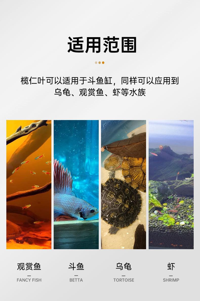 详情_02.jpg