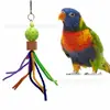 Juguetes para Loro, Juguetes de Oruga para Masticar Pájaros, Accesorios Colgantes para Jaula de Pájaros, Suministros, 22g Juguetes de Escalada para Mascotas para Cacatúas