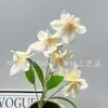 Flor Artificial Orquídea 5 Cabeças Casamento Hall de Hotel Fotografia Vídeo Vitrine de Janela Exposição em Shopping Atacado Transfronteiriço
