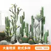 Cacto Cacto Em Vaso Plantas Verdes Falsas Tropicais Paisagismo de Deserto Plantas Verdes Falsas Enfeites Decorativos de Cacto