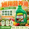 Solución nutriente universal para plantas para uso doméstico, adecuada para cultivar flores, plantas verdes, plantas verdes hidropónicas, suculentas, plantas en maceta y árboles de la fortuna, fertilizante líquido