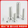 Tornillos de Acero Inoxidable 304 Plateados, Cabeza Plana Phillips, Tornillos de Máquina Avellanados, Tornillos Pequeños Completamente Roscados M2-M10 Venta al por Mayor