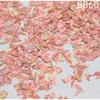 Madrepérola Laca Peças Finas de Concha de Abalone Nail Art Mosaico Pintura em Laca Peças de Madrepérola Material DIY Laca Incrustada Leidezhu