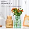 Decoração Simples de Vaso de Vidro para Sala de Estar, Vaso para Flores, Plantas Verdes, Flores Frescas, Bambu da Sorte, Hidroponia Vermelha, Xuzhou Zhuotong