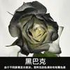 Tinta Spray para Flores, Corante Azul Gelo Triturado Ameixa, Flor de Sabão, Flor Seca, Spray de Arte Floral, Suprimentos para Floricultura Atacado