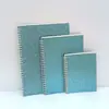 Caderno de Folhas Soltas Colorido com Glitter Caderno de Espiral Removível A4A5B5 Bloco de Notas Caderno Caderno de Linha Horizontal