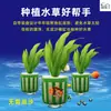 Anillo Fijador para Plantas Acuáticas Ventosa Cesta de Plantación Juego de Tres Piezas Esponja para Plantar Plantas Acuáticas Cesta de Plantación Grande Tanque de Peces Paisajismo Taza de Césped