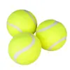 Brinquedo para Cachorro Bola Golden Retriever Teddy Bola Elástica Resistente a Mordidas Limpeza de Dentes Bola de Tênis Animal de Estimação Filhote Labrador Filhote Treinamento