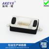 TS-B004 novo 3 * 6 * 2.5 pull core tampa plana luz toque patch 2 pés vertical patch reset car interruptor de controle remoto