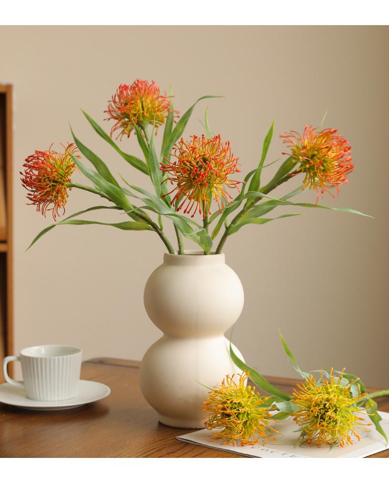 单枝6叶针垫花_12.jpg