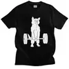 Camisetas Divertidas de Levantamiento de Pesas para Gimnasio Gráficas Perro Dachshund Levantamiento de Pesas