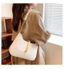 Bolsa Feminina de Corrente Simples, Luxo Leve de Alta Qualidade, Nova Bolsa de Ombro para o Trabalho na Primavera de Grande Capacidade, Tendência e Fashion