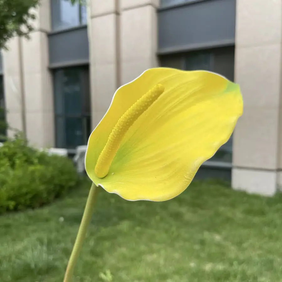 单支3D打印EVA鲁米那掌-xjmlkx 11#鹅黄.jpg