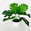 Planta Simulada Envasada Flor Artificial Envasada 9 Cabeças Planta Verde Simulada Folha de Tartaruga Bonsai Flor Simulada Atacado Fornecimento Transfronteiriço