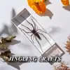 Especímenes de Insectos Artesanales Jingling: Escarabajo, Escorpión, Mantis, Araña - Educación en Ciencias Biológicas, Regalos de Nicho, Adornos de Resina