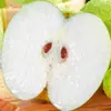 Pera de piel verde de Dangshan, Anhui, pera verde crujiente y dulce, pera verde de temporada, pera Cui Guan, pera de nieve fragante y crujiente, fruta fresca