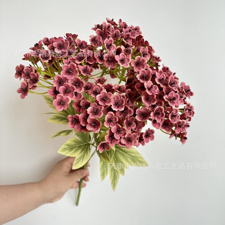 微信图片_202305101709198_副本