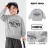 Sudadera para Niños Atuendo de Otoño Bebé Pequeño Estilo Primavera y Otoño 2026 Nueva Ropa para Niños Top de Otoño para Niños Moderno