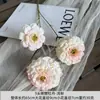 Carpa Pez de 3 Cabezas Peonía Venta al por Mayor Guía de Camino de Boda Arreglo Floral Hotel Hogar Decoración Suave Flores Falsas Flores Artificiales Exportación Transfronteriza