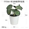En Stock Hoja Única de Planta Verde Plástico Bonsái Decoración del Hogar Amazon Escritorio Maceta Adorno Pequeño Fabricante de Comercio Exterior