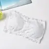 Top de tubo redondo de encaje sin tirantes envolvente con hebilla trasera de tres filas y una fila, anti-luz, sin aro de acero, ropa interior básica para mujer