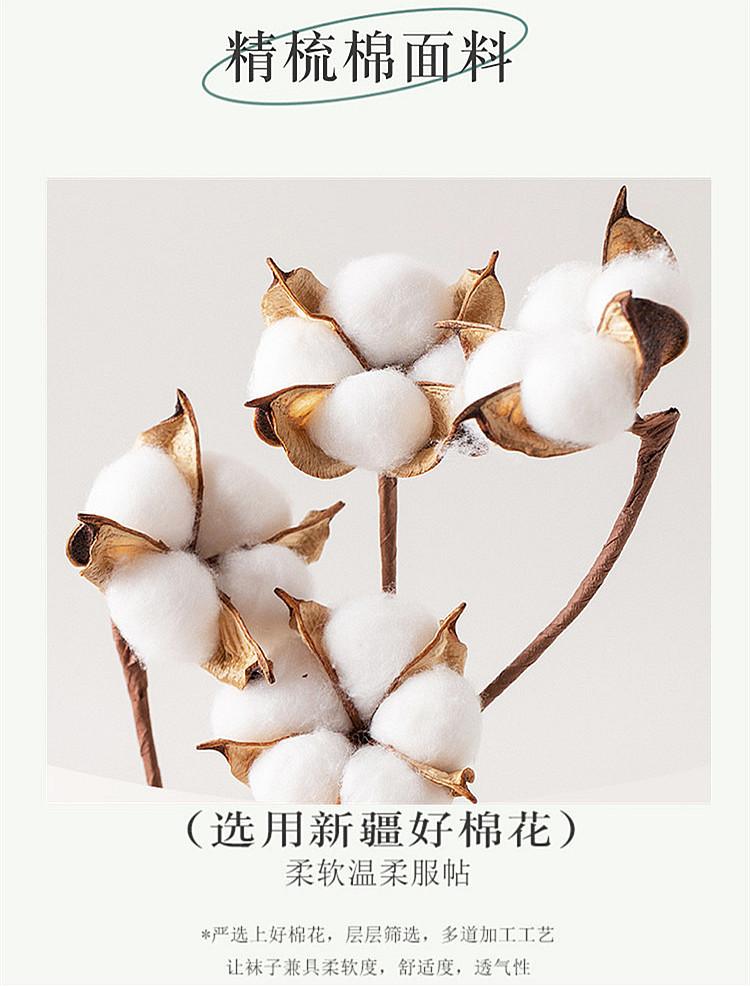 O1CN01AIoTxv2AFk8jsMCMt_!!2211