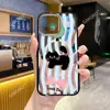 Funda Transparente Popular de Gato Rayado de Xiaohongshu para Apple 17 Pro Max, Funda Magnética Acrílica Femenina