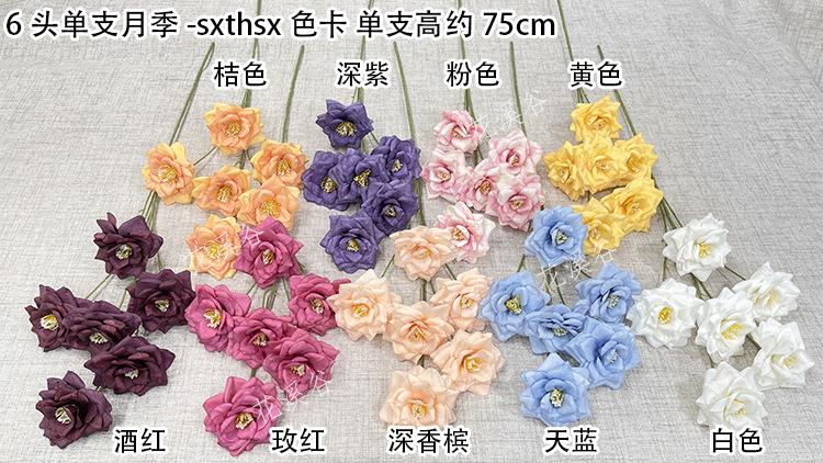 6头单支月季-sxthsx 色卡 花溪谷.jpg