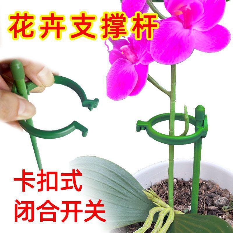 /O1CN01HuySW01TB90xQ69T0_!!2218923622343-0-cib.jpg