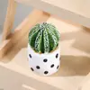 Cacto de simulação ornamentos de micro paisagem Musgo decorações de plantas suculentas plantas suculentas ornamentos fofos