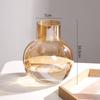 Jarrón de cristal creativo estilo nórdico bola transparente lujo ligero flores hidropónicas jarrón de flores secas decoración de mesa de comedor sala de estar