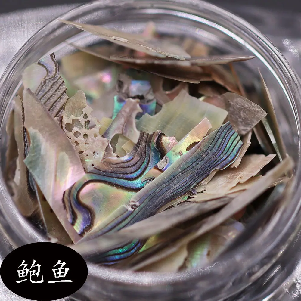 鲍鱼贝