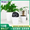 Maceta Auto-riego Estilo Nórdico, Plástico Blanco, Grueso y Duradero, Diseño Simple, Adecuada para Phalaenopsis, Suculentas, Versátil para Plantas Verdes e Hidroponía