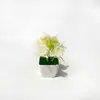 Planta artificial de césped de peonía de 5 piezas transfronteriza en maceta para escritorio de oficina, mini bonsái, maceta decorativa de escritorio