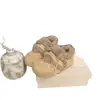Zapatos Birkenstock Peludos con Suela Gruesa sin Cordones para Aumentar Altura para Mujer, Zapatos de Algodón Cálidos de Felpa para Invierno, Modelo Nuevo Popular 2025