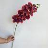 Net Red Nine-headed 3D Phalaenopsis Casamento Decoração para casa Simulação Flor Cena ao vivo Estúdio Fotografia Comércio exterior Transfronteiriço