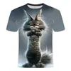 Fábrica de Origen Entra en Amazon Camiseta Divertida para Hombre Y2 con Estampado de Gato Camiseta Casual para Hombre Estampada en 3D con Cuello Redondo y Mangas Cortas