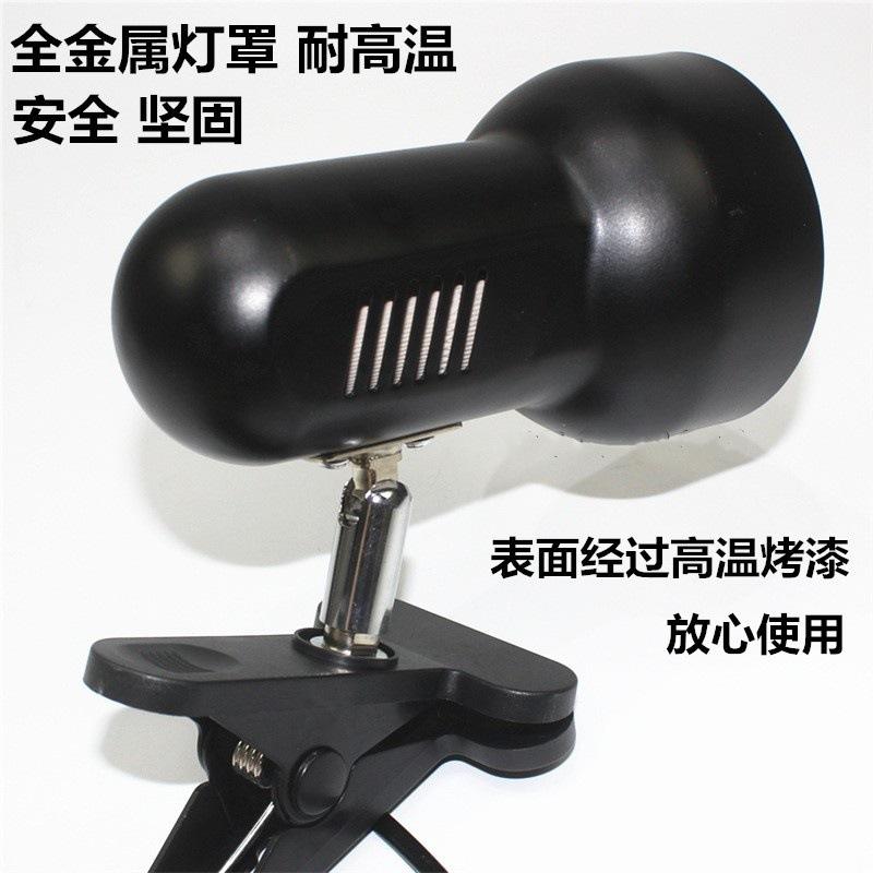 11402239124_1905942197