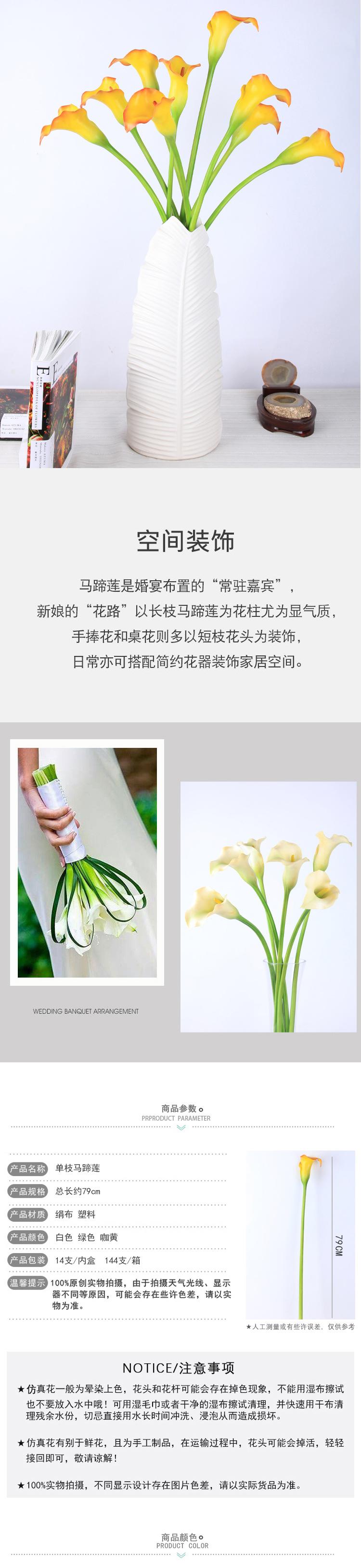 单枝马蹄莲1