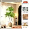 2026 Planta Verde Artificial Nandina Planta em Vaso Alto Padrão Luxo Leve Decorativa para Chão de Sala de Estar Flor Árvore Artificial Grande