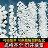 Grava Blanca de Piedra con Bordes, Guijarros Pulidos para Paisajismo de Terrazo, Guijarros Blancos Lavables, Piedras Mezclables y Lavables, Piedras Multicolor