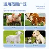 Cabezal dispensador de medicina metálico adecuado para cerdos, ganado vacuno, ovejas y otros animales de granja; Aplicador de Medicina Veterinaria de Acero Plástico con Cabeza de Cobre; Cabezal Dispensador de Medicamentos para Cerdos y Ovejas