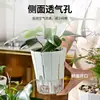 Maceta autorriego que absorbe oxígeno para plantas de interior y flores, maceta de plástico transpirable y nutritiva para las raíces