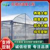 Fabricante de Película Calentadora de Verduras y Frutas, Invernadero Continuo de Invernadero, Invernadero Simple de Película Conjunta, Comercio Exterior Transfronterizo