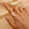 Anillo Europeo y Americano Estilo Ins Abierto Diamante Hueco Acero Inoxidable Nicho para Mujer Pulsera de Alta Gama Anillo Abierto de Oro de 18K